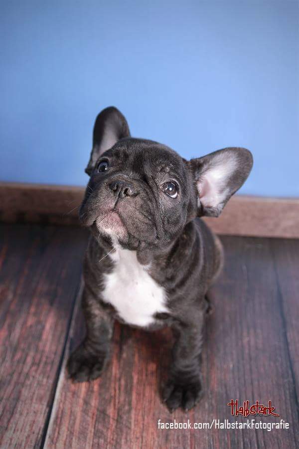 Diego